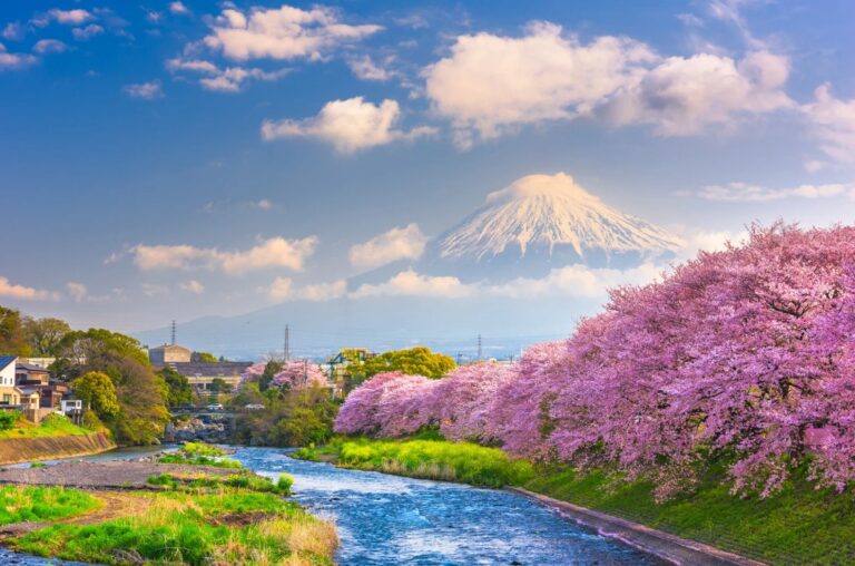 PIELGRZYKA DO JAPONII - Śladami św. Maksymiliana Marii Kolbego |
Opieka duchowa: ks. Sebastian Picur