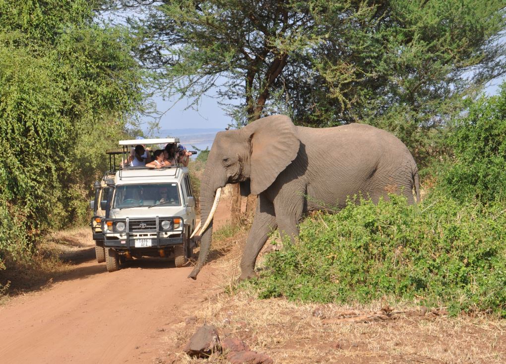 5. Kenia gotowa do odkrycia