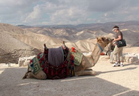 Pustynia Judzka, Morze Martwe, Qumran