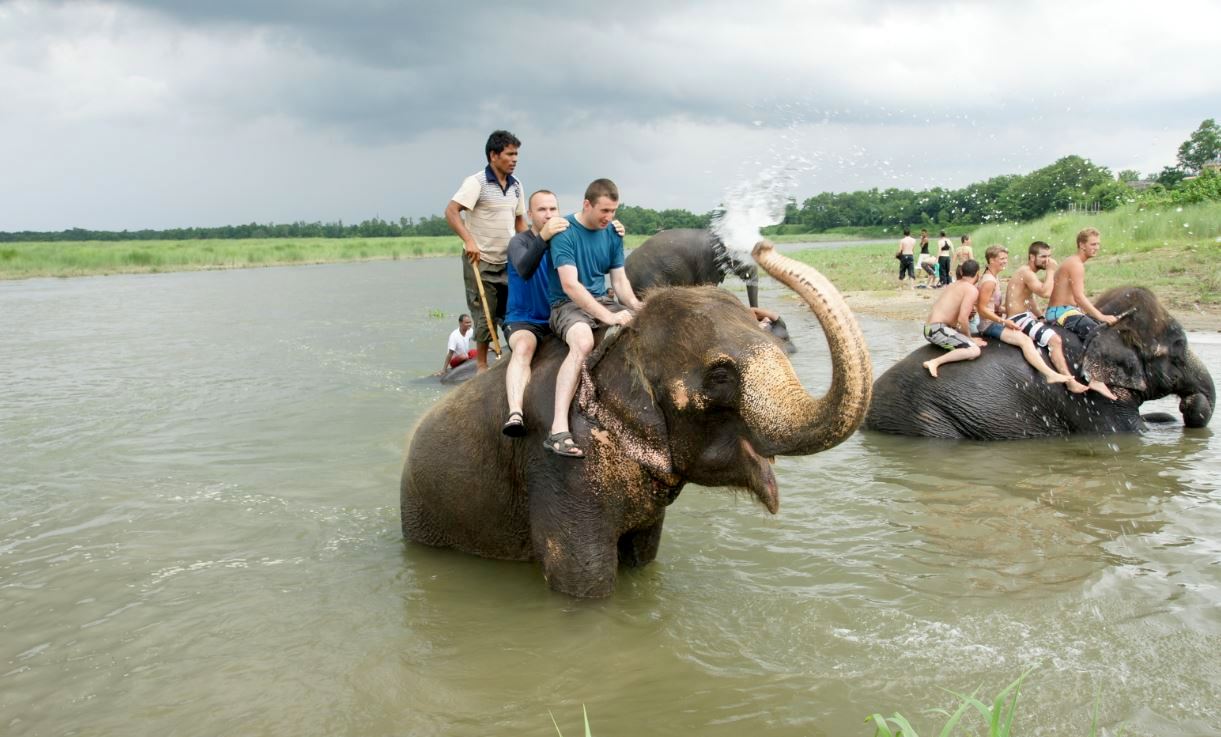 9. Fauna i flora Parku Nepalskiego Chitwan