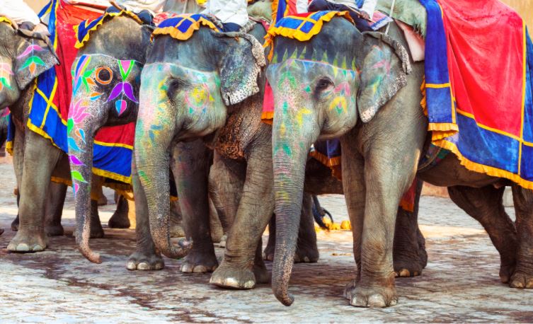 8. Nepal wymarzony od dawna