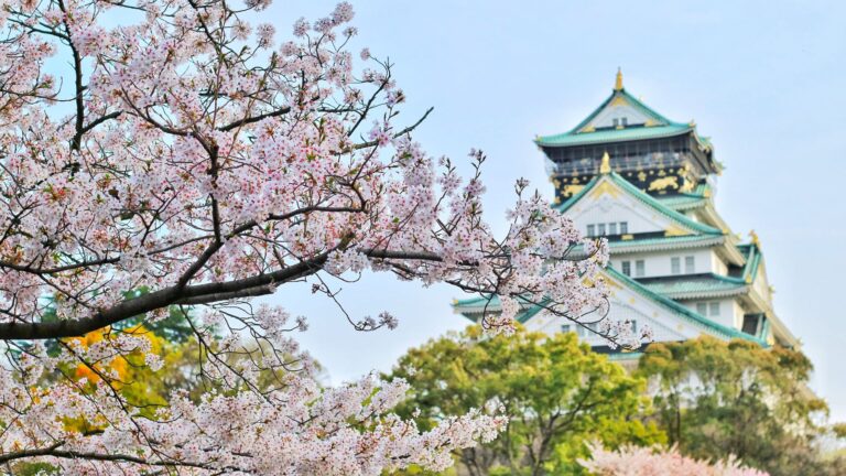 Japonia 04-13.03.2025 - Pielgrzymka śladami św. Maksymiliana Marii Kolbe